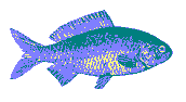 Linker Fisch